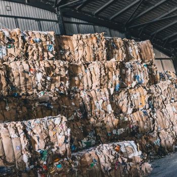 Recycling waste at CSH Environmental